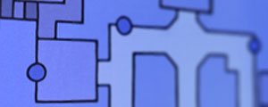 plan du site bleu