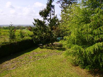 Le jardin du CFMI