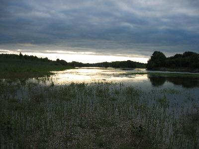 Paysage de bord de Loire